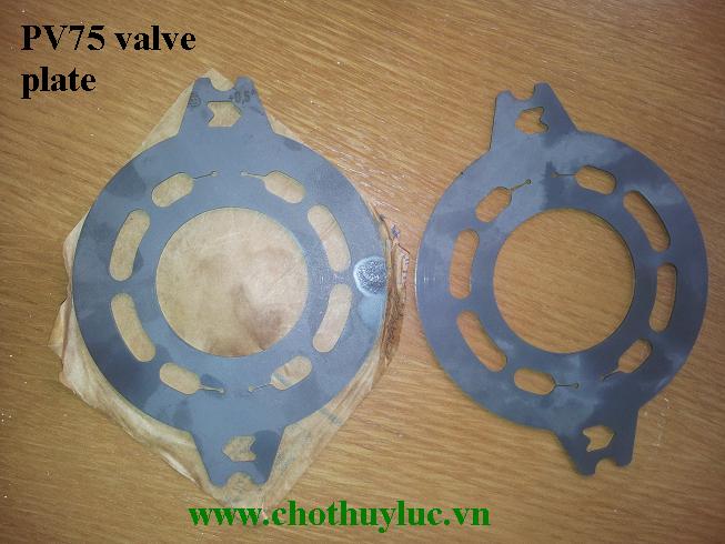 Mặt chà, đĩa van PV075
