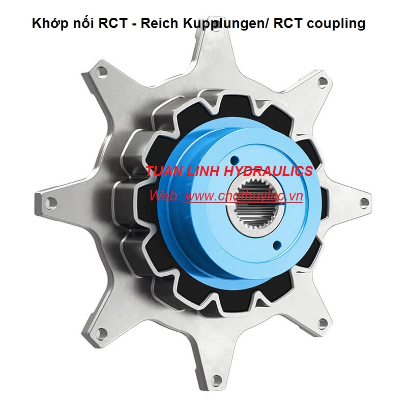 Khớp nối RCT - Reich Kupplungen/ RCT coupling