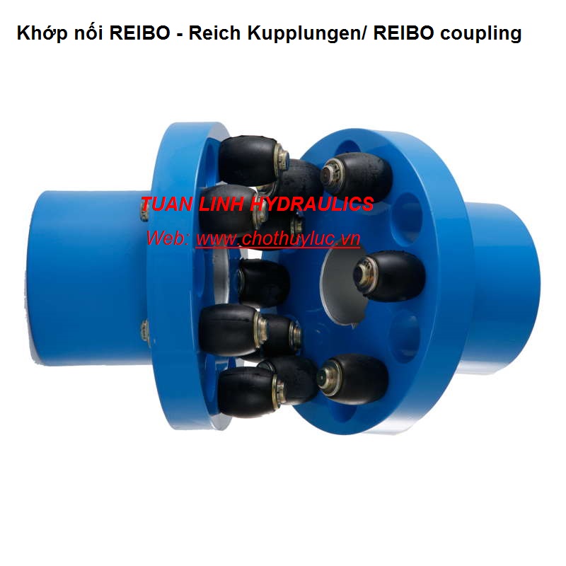 Khớp nối REIBO - Reich Kupplungen/ REIBO coupling